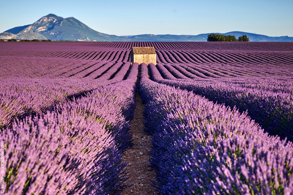 Les couleurs de la Provence