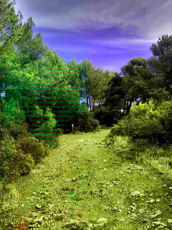 Provence : sentier de randonnée