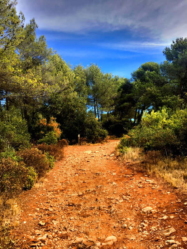 Provence : sentier de randonnée